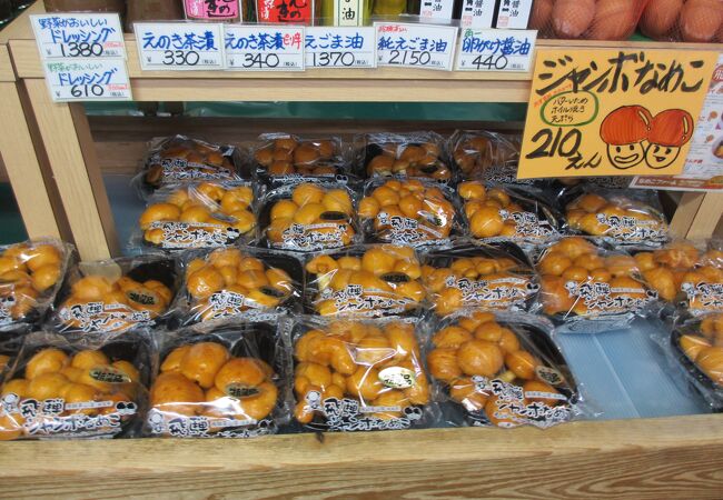 飛騨牛が食べられるらしい