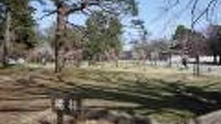 御苑南西部の一角。梅林や桃林がある。