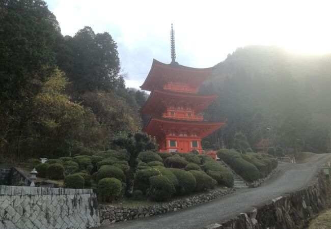 三重塔が美しい。一点豪華主義の寺