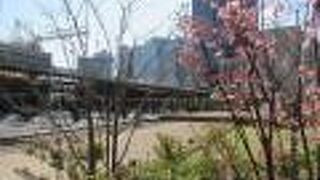 ライオン像が歓迎してくれます