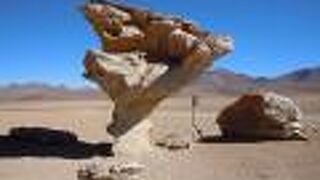 石の木 (ボリビア)