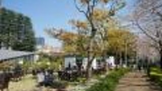 花見シーズン限定、食堂も出来るブロッサムラウンジ