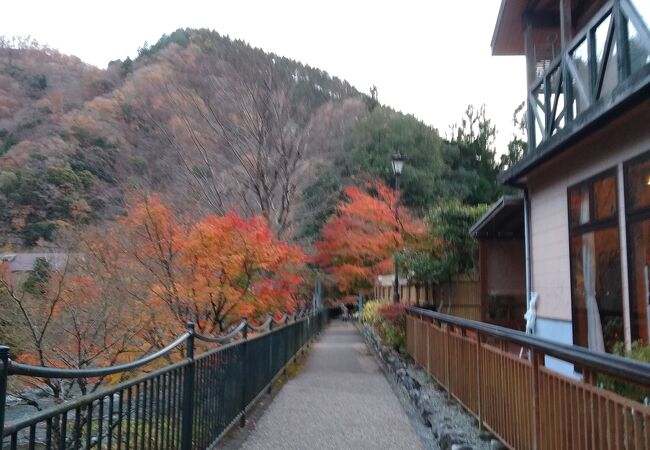 丹沢 大山の温泉 クチコミ人気ランキング フォートラベル 神奈川県