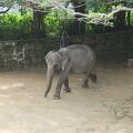 沖縄市にある動物園