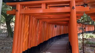 どこまでも鳥居