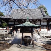 境内の枝垂桜が綺麗でした。