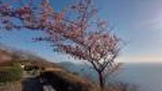 静かに夕日を眺められる