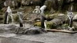 無料の水汲み場