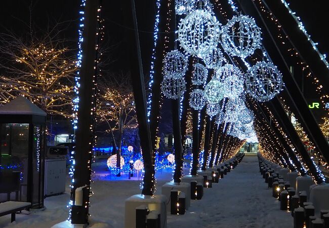 北海道 年12月開催のイベント フォートラベル 北海道 年12月開催のイベント フォートラベル