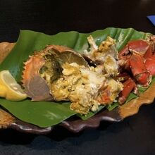 ノコギリガザミ