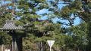 木々が良い感じ