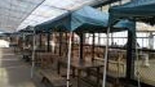 平日は密を避けてのんびりと