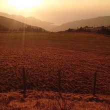 西天城高原の駐車場付近