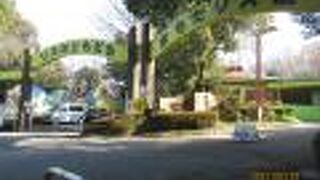 リスの楽園です