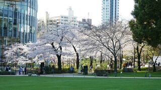 ミッドタウン裏のグリーンパークはなかなかいい公園