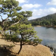 池の周りを回遊できます