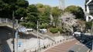 乃木坂といえば