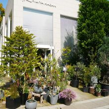 有楽町界隈で花屋なら日比谷花壇 By Swal 日比谷花壇 日比谷公園店 のクチコミ フォートラベル