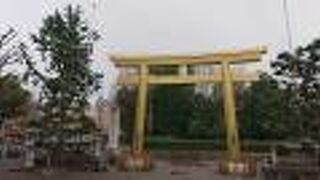 曇天下で金の鳥居が見やすかったです。