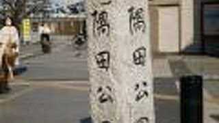 今年も桜祭りは無しの隅田公園