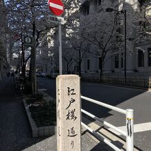 江戸桜通りの石碑
