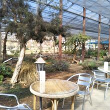 サンドロップス