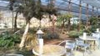 気兼ねなく過ごせるカフェ