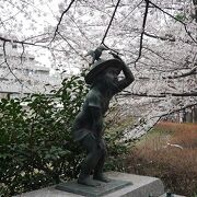 桜以外にも見頃を迎えてます。