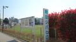 一面芝生の広場