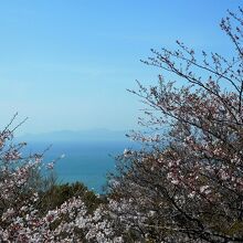 　山頂の展望台からは瀬戸内海も見えます。