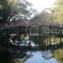 白玉上り藤の太鼓橋