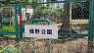 普段は閉鎖？それともコロナ？