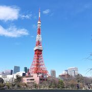 東京タワーの撮影スポット