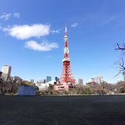 天気が良ければ東京タワーが奇麗に撮影できます