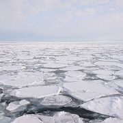 力強く流氷の海を進む