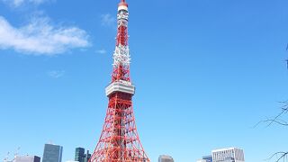 東京タワーの撮影スポット