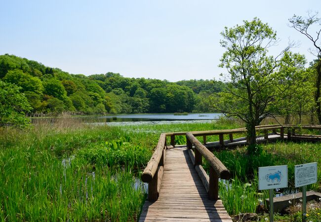 浮島公園