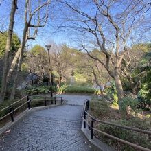 帷子川親水緑道