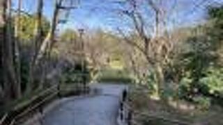 水の流れる綺麗な公園！