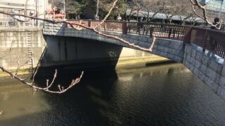 目黒川に架かる橋