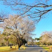 和光市の憩いの場