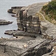 断層の様子です。