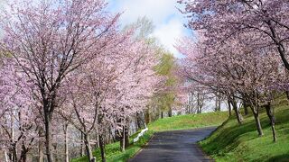 旭ヶ丘公園