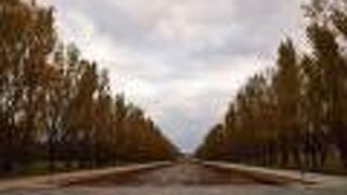 札幌市手稲区にある紅葉の綺麗な公園