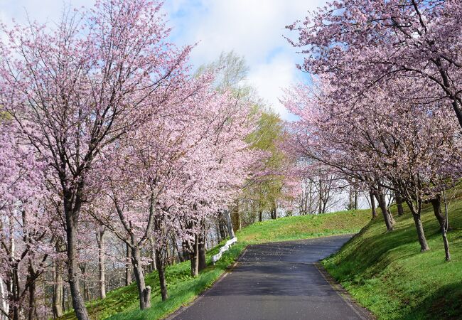 旭ヶ丘公園