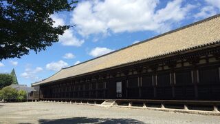 1001体の千手観音立像