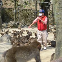 係員の解説風景