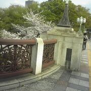 桜も素晴らしい