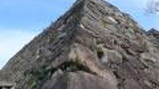 江戸時代初頭に黒田長政により築城された城跡を花見で訪れました!!