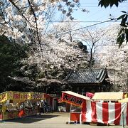 春は見事な桜の木や祭り屋台などで楽しげな雰囲気でお参りできます